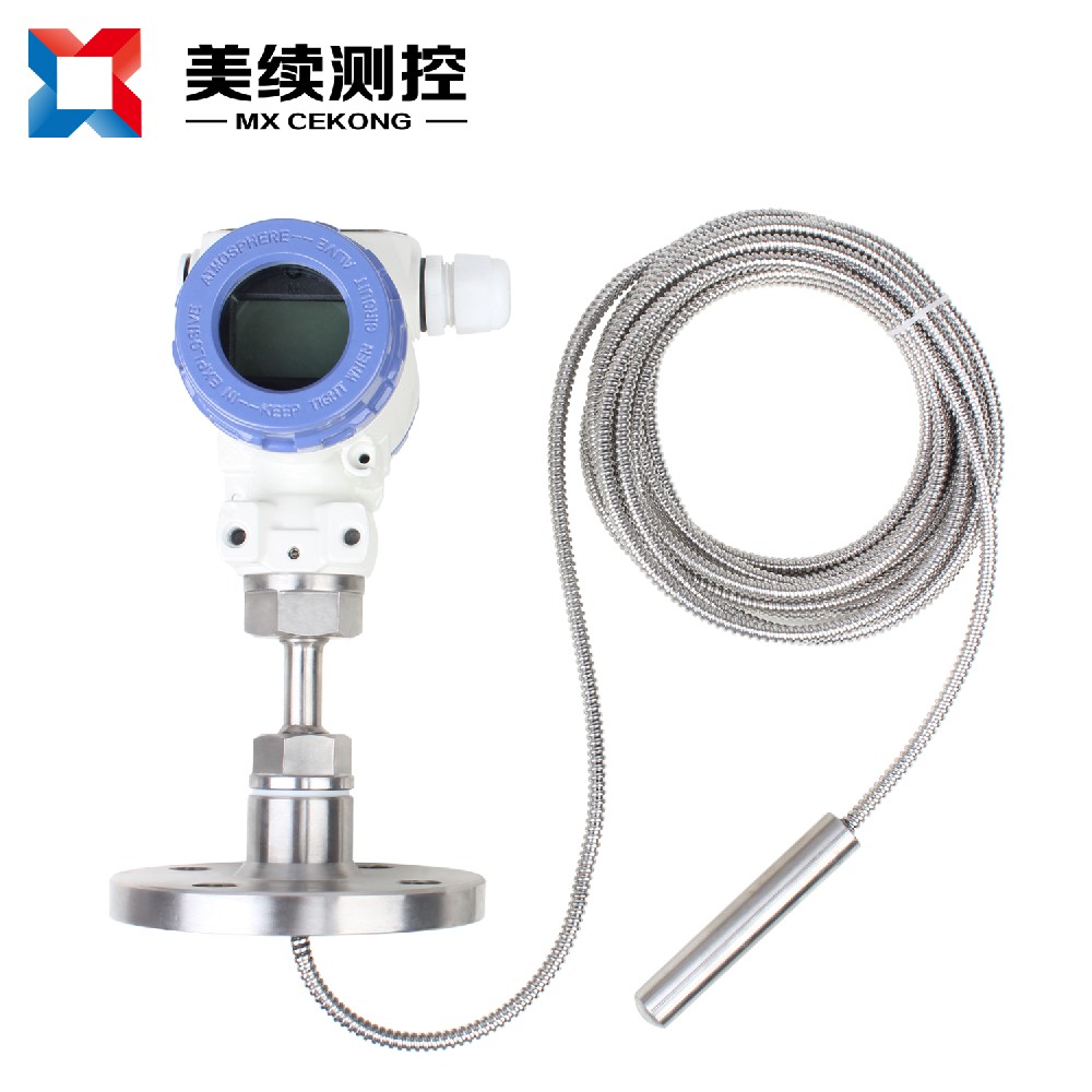 投入式数显温度变送器 MX-WD-06T